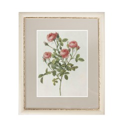 Постер в раме Роза и Шиповник 44